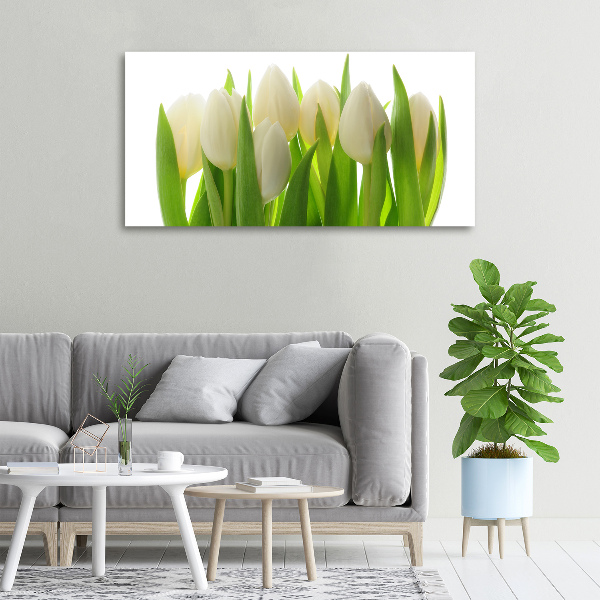 Fotobild Tulpen