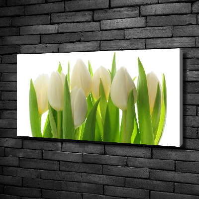 Fotobild Tulpen
