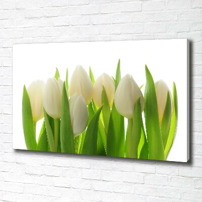 Fotobild Tulpen