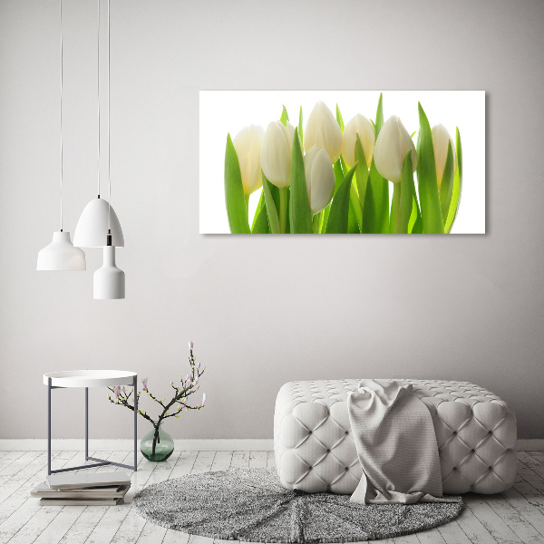 Fotobild Tulpen