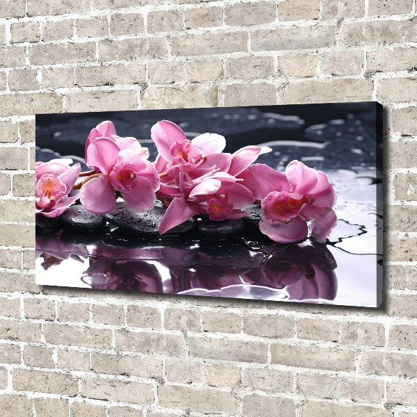 Bild auf leinwand Rosa Orchidee