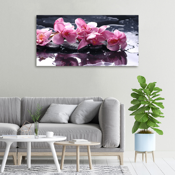 Bild auf leinwand Rosa Orchidee