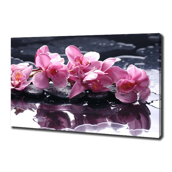Bild auf leinwand Rosa Orchidee