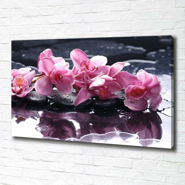 Bild auf leinwand Rosa Orchidee