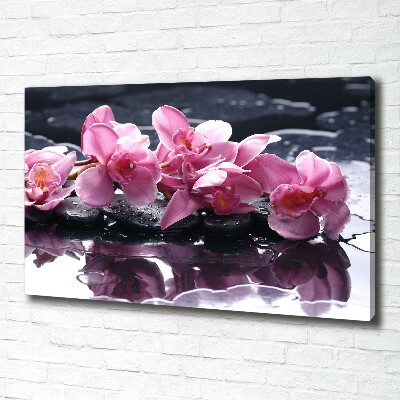 Bild auf leinwand Rosa Orchidee