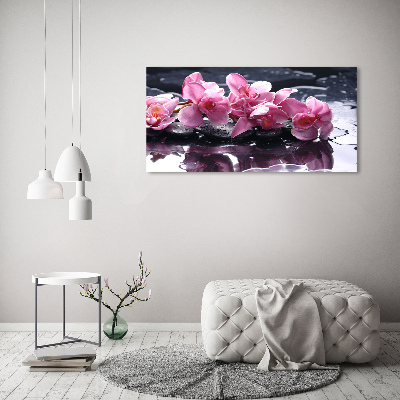 Bild auf leinwand Rosa Orchidee