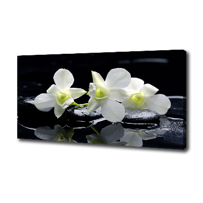 Wandbild Orchidee