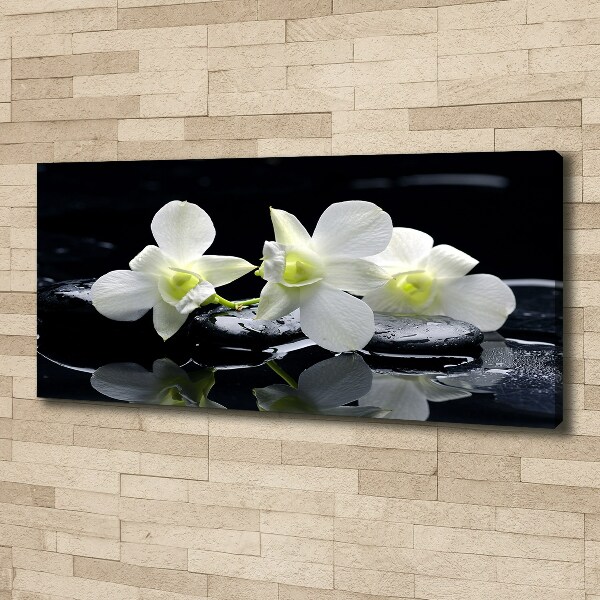 Wandbild Orchidee