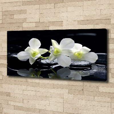 Wandbild Orchidee