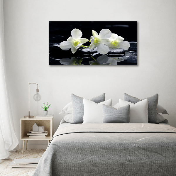 Wandbild Orchidee