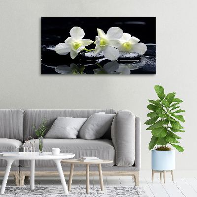 Wandbild Orchidee