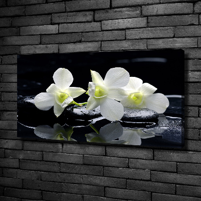 Wandbild Orchidee
