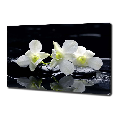 Wandbild Orchidee