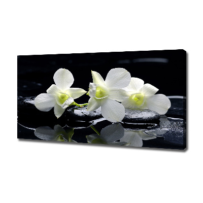 Wandbild Orchidee