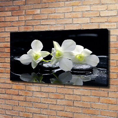 Wandbild Orchidee