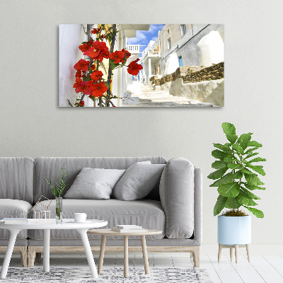 Bild auf leinwand Mykonos, Griechenland