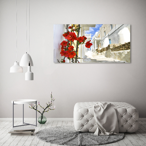 Bild auf leinwand Mykonos, Griechenland