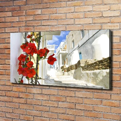 Bild auf leinwand Mykonos, Griechenland