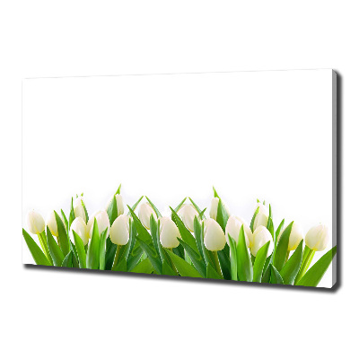 Fotobild Weiße Tulpen