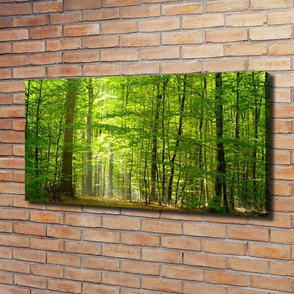 Bild auf leinwand Laubwald