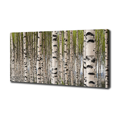 Wandbild Birkenwald