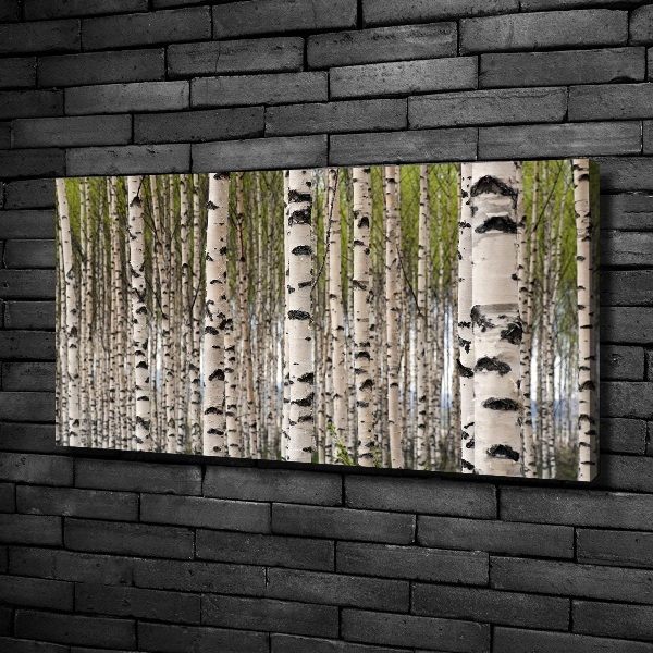 Wandbild Birkenwald