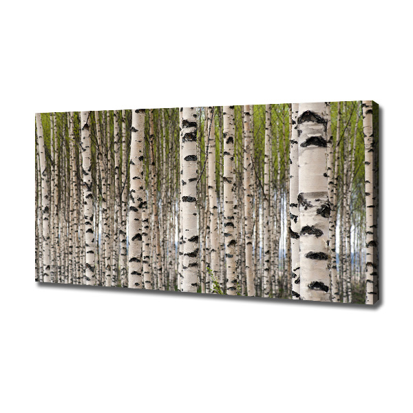 Wandbild Birkenwald