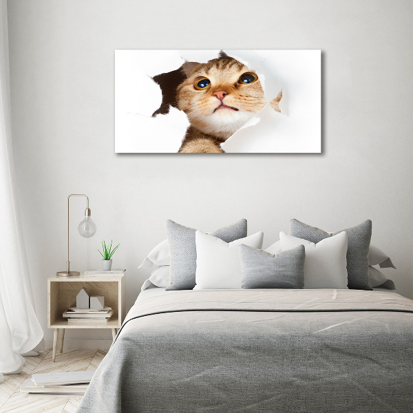 Wandbild Katze im Loch