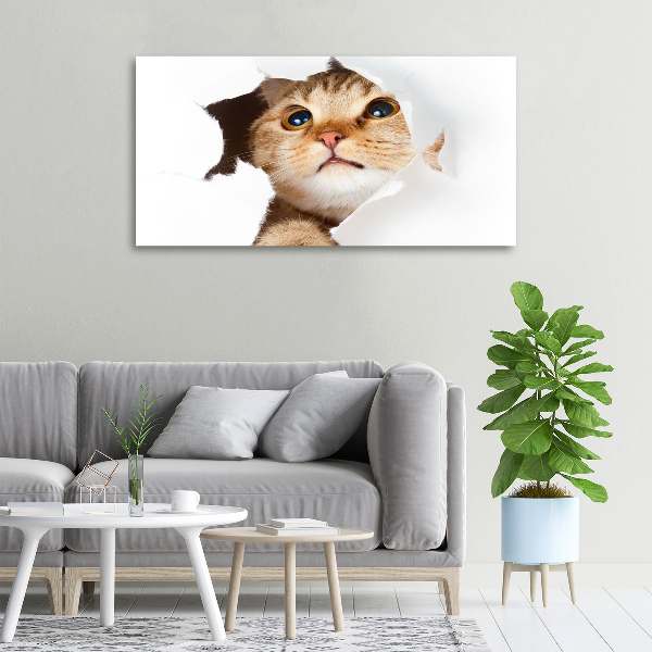 Wandbild Katze im Loch