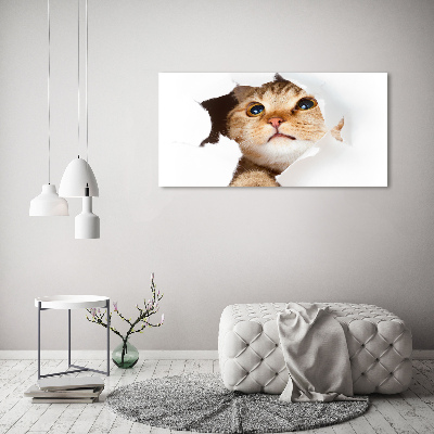 Wandbild Katze im Loch