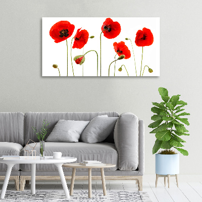 Wandbild Mohnblumen