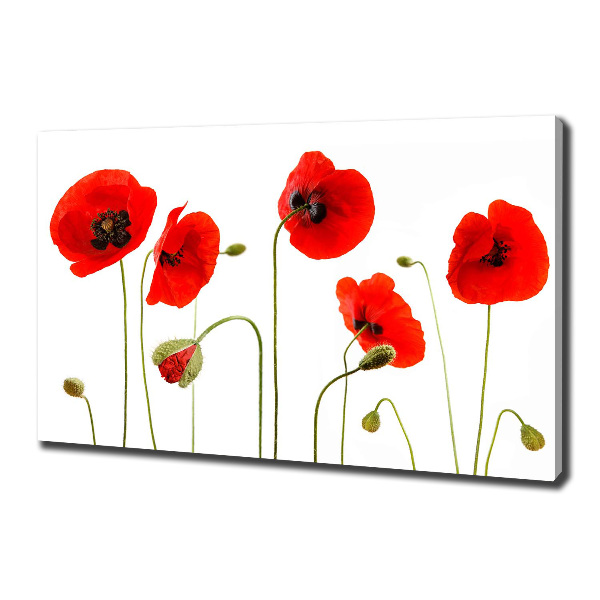 Wandbild Mohnblumen