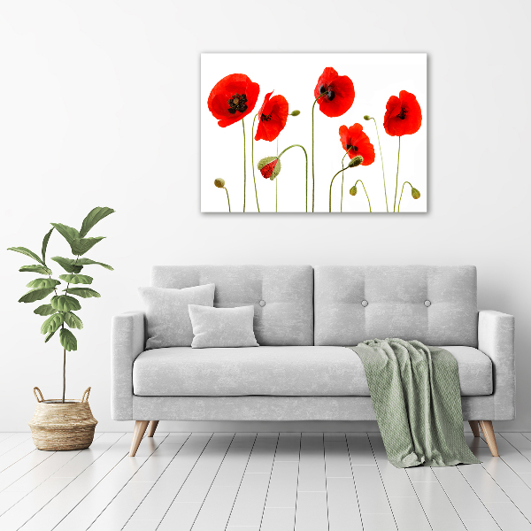 Wandbild Mohnblumen