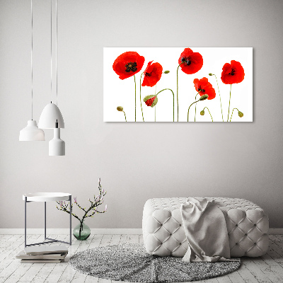 Wandbild Mohnblumen