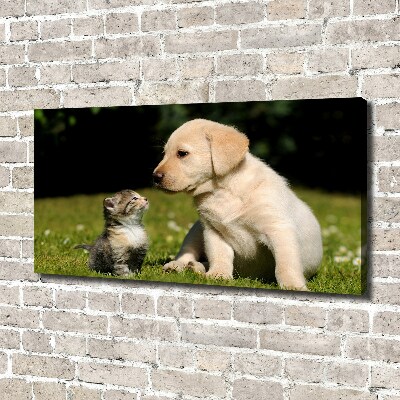 Fotobild Hund und Katze auf der Wiese