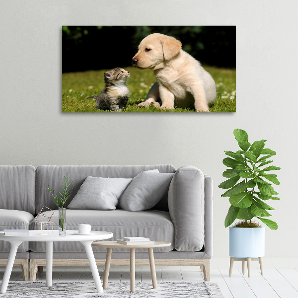 Fotobild Hund und Katze auf der Wiese