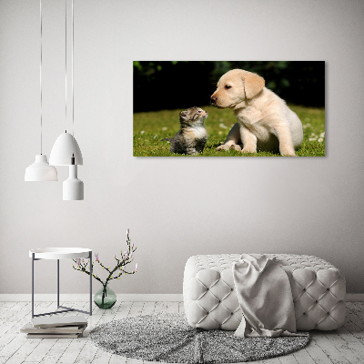 Fotobild Hund und Katze auf der Wiese