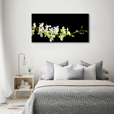 Fotobild Orchidee