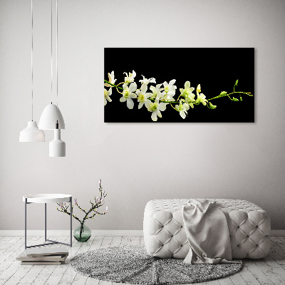 Fotobild Orchidee