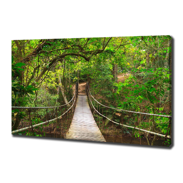 Fotobild Seilbrücke