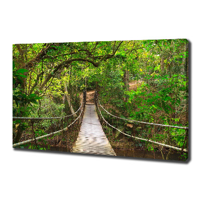 Fotobild Seilbrücke