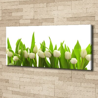 Bild auf leinwand Weiße Tulpen