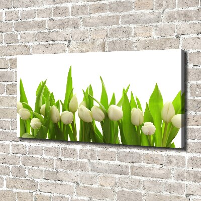 Bild auf leinwand Weiße Tulpen