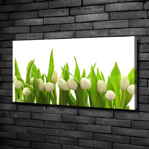 Bild auf leinwand Weiße Tulpen