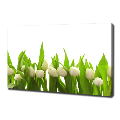 Bild auf leinwand Weiße Tulpen