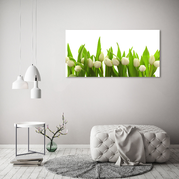Bild auf leinwand Weiße Tulpen