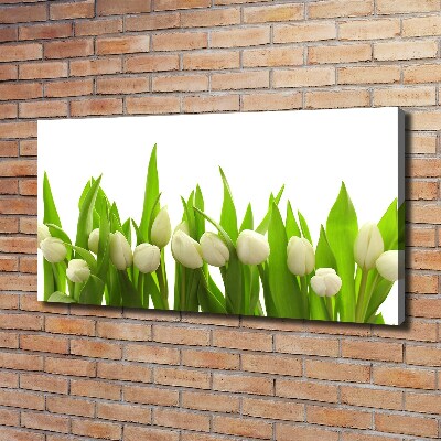 Bild auf leinwand Weiße Tulpen