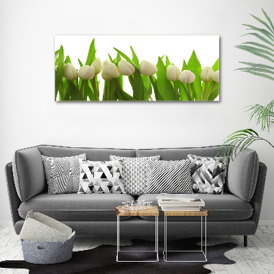 Wandbild Weiße Tulpen
