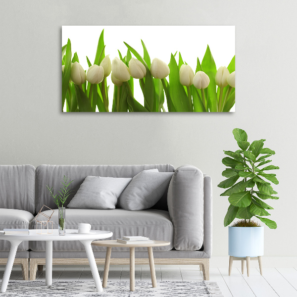 Wandbild Weiße Tulpen