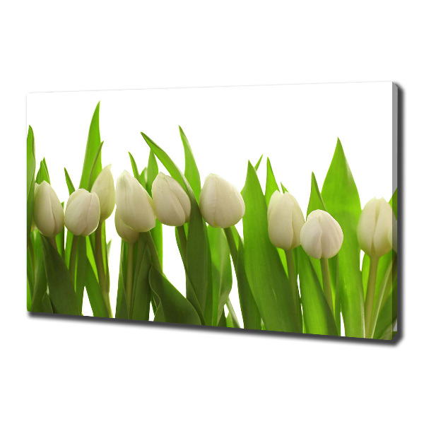 Wandbild Weiße Tulpen